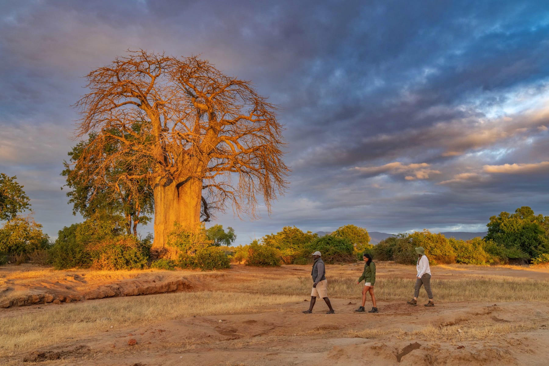 chongwe-walking-safaris