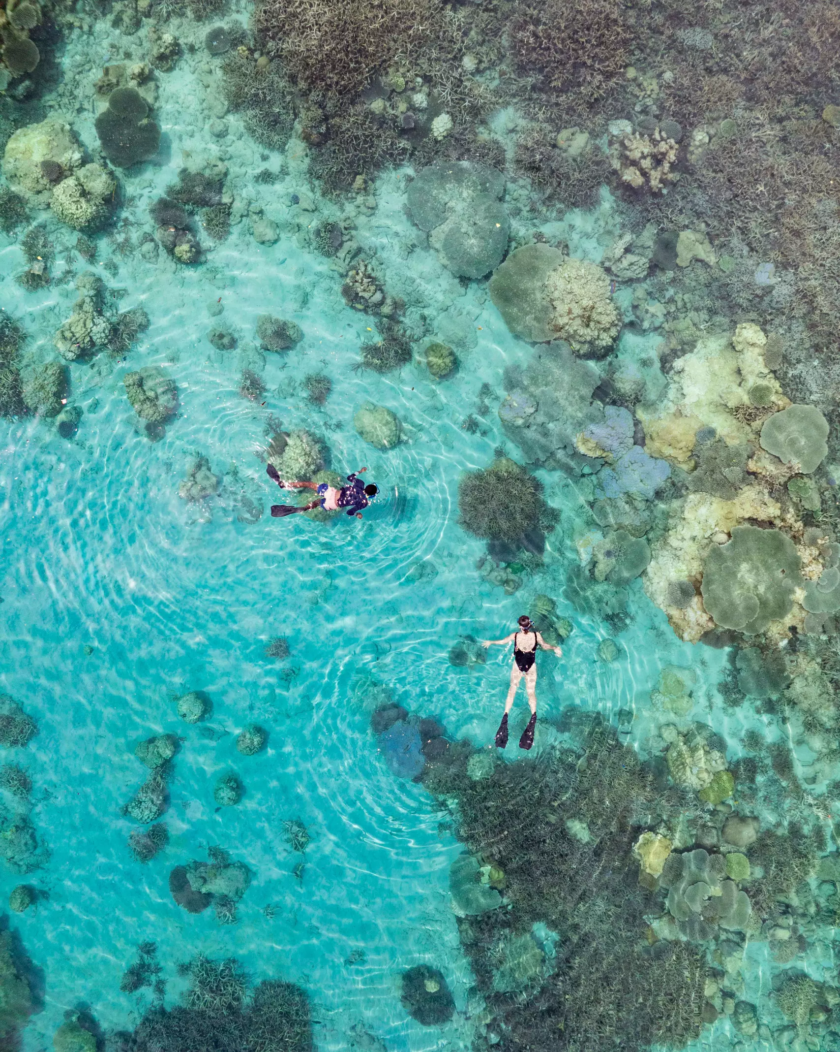 Tsara-Komba-Snorkelling-Scaled