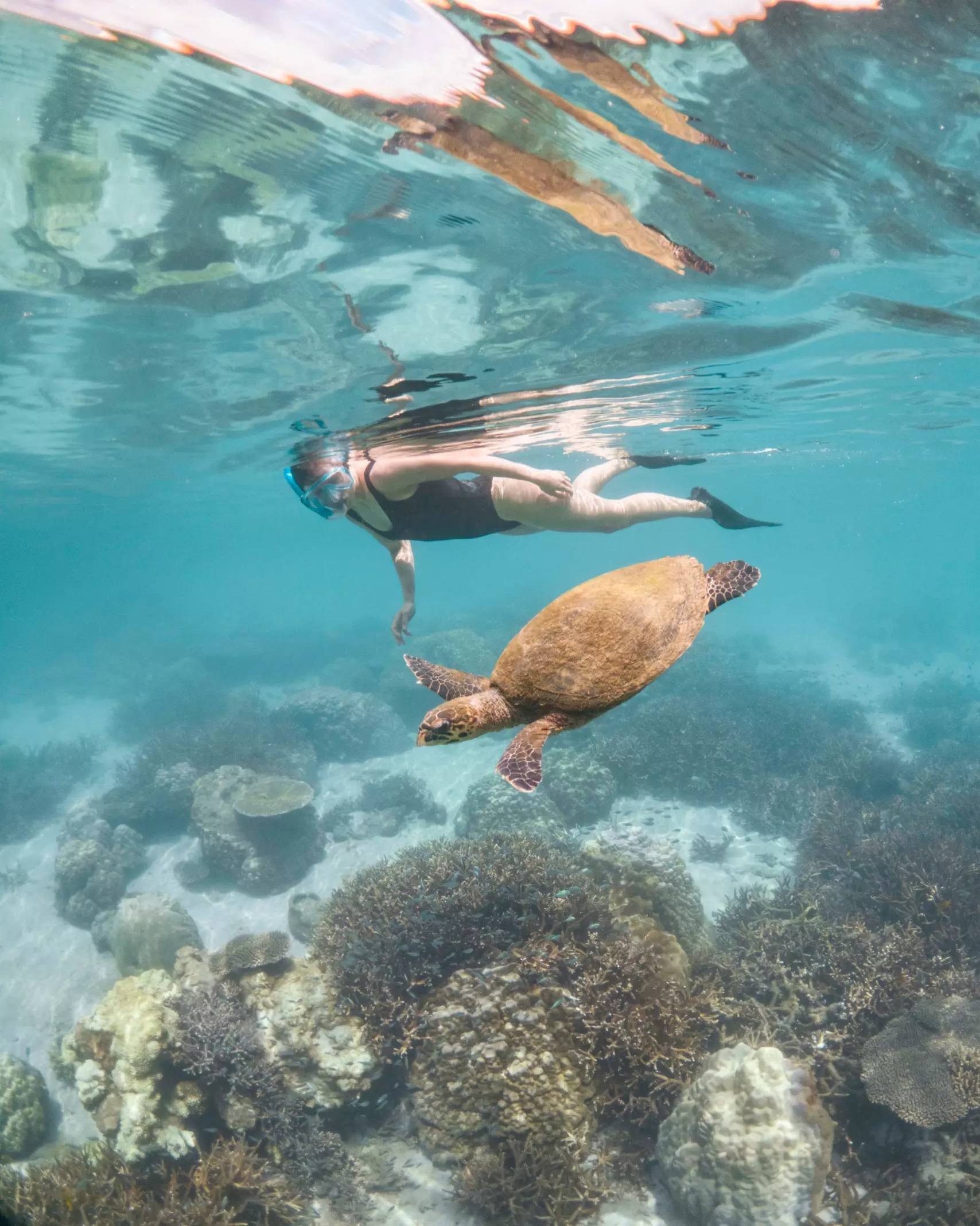 Tsara-Komba-Swim-With-Turtles-Nosy-Sakatia-Scaled